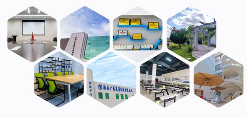 消博线报 医药黑科技、珍稀祖母绿与人工智能软件齐聚，引领消费新浪潮